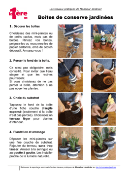 Fabriquer des pots pour vos plantes