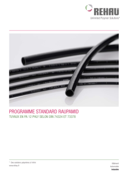 programme standard raupamid