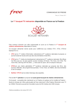 Le 1er bouquet TV vietnamien disponible en France sur la