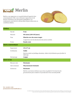 Merlin - Pommes de terre B&eacute;rub&eacute;