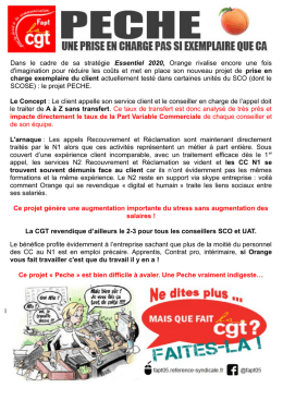 projet PECHE - CGT FAPT 05