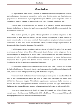 Conclusion