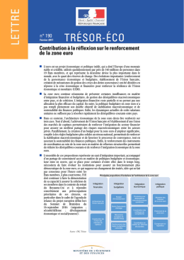 Contribution &agrave; la r&eacute;flexion sur le renforcement de la zone euro