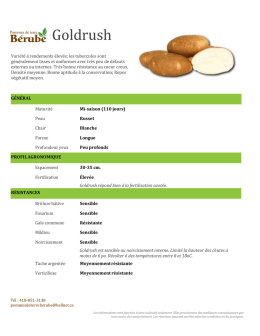 Visionner la fiche PDF - Pommes de terre B&eacute;rub&eacute;