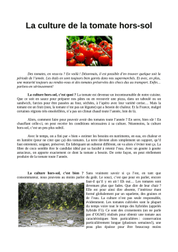 La culture hors-sol de la tomate