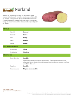 Norland - Pommes de terre Bérubé