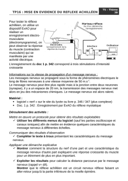 TP DEROULEMENT DE LA MEIOSE