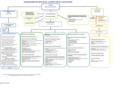 organigramme des services de la prefecture de la haute