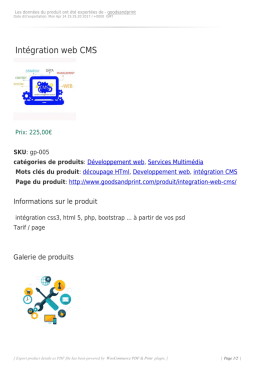 Int&eacute;gration web CMS