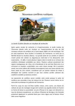 Nouveaux conifères rustiques