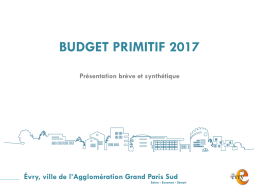 Les projets d`investissements 2017