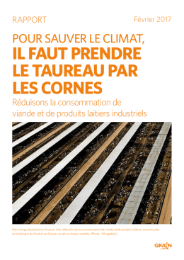 Voir la version PDF du rapport