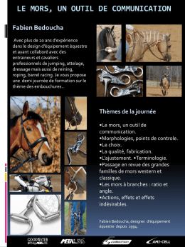 Thèmes de la journée
