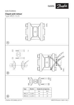 Clapet anti-retour Type NRVS 15-25