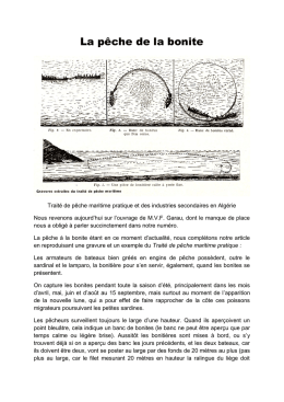 La pêche de la bonite