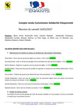 compte rendu du cme du 14 01 2017