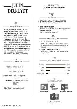 CV Complet - Decruydt Julien