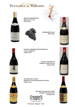 Terroirs et Talents | Vins Estela