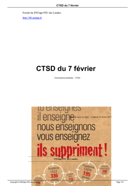 CTSD du 7 f&eacute;vrier - SNUipp