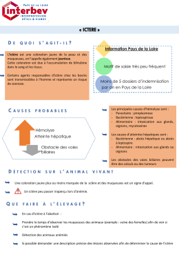 lors de l`inspection ante-mortem