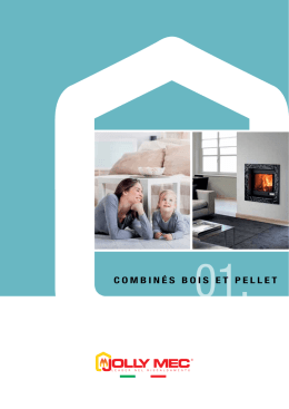 Combin&eacute;s bois et Pellet