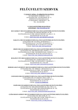 FEL&Uuml;GYELETI SZERVEK