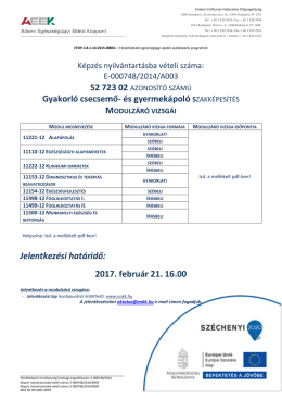 Gyakorl&oacute; csecsemő- &eacute;s gyermek&aacute;pol&oacute; szakk&eacute;pes&iacute;t&eacute;s