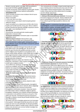 www.biyolojiportali.com GENETİK ÇEŞİTLİLİĞİN (GENETİK