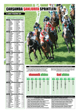 &Ccedil;ARŞAMBA ŞANLIURFASPRiNTLERi