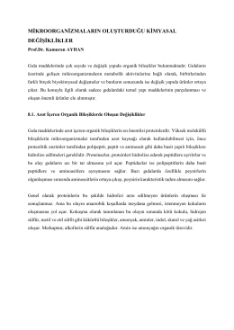 13.Hafta Kaynak