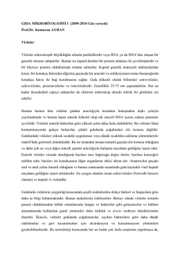 GIDA MİKROBİYOLOJİSİ I (2009-2010 G&uuml;z yarıyılı) Prof.Dr