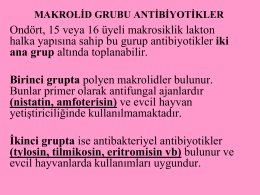 Makrolid Kaynak