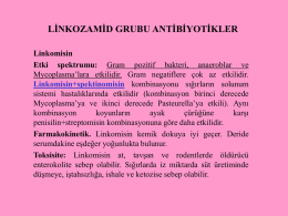 Linkozamid Kaynak