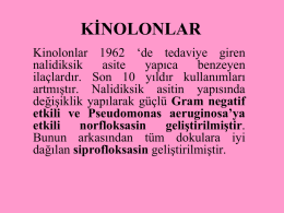 Kinolonlar Kaynak