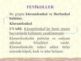 Fenikoller Kaynak