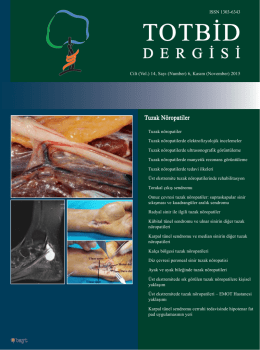 TOTBİD