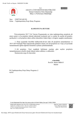 Toplulaştırılmış Proje Detay Programı