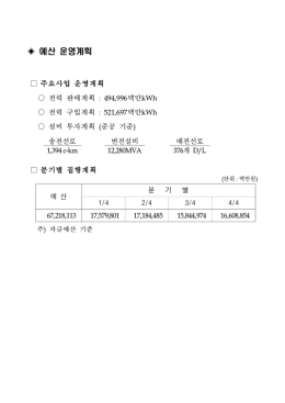 예산 운영계획