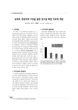 연구성과 사례집