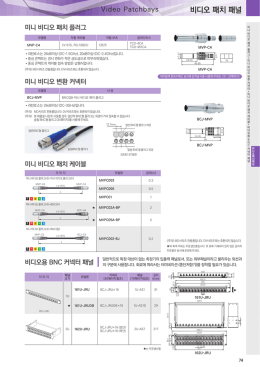 미니 비디오 패치 플러그/케이블, 변환 커넥터