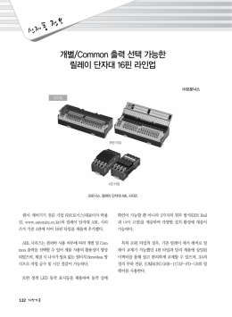 개별/Common 출력 선택 가능한 릴레이 단자대 16핀