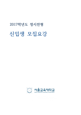 18 2017학년도 정시전형 모집요강