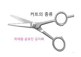 컷의 종류(예시)