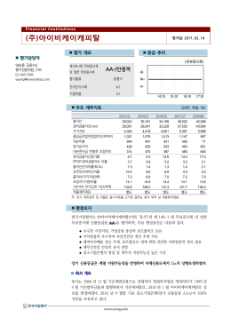 (주)아이비케이캐피탈