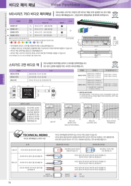 MD시리즈, 2연비디오잭