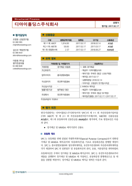 디아이홀딩스주식회사