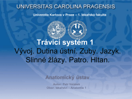 2 - Anatomick&yacute; &uacute;stav 1. LF UK