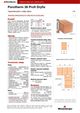 Porotherm 38 Profi Dryfix