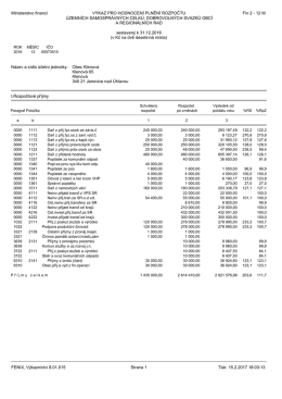 Př&iacute;loha č. 1 k Z&aacute;věrečn&eacute;mu &uacute;čtu obce Klenov&aacute; za