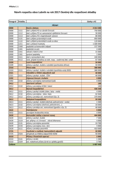 Návrh rozpočtu obce Lubník na rok 2017 členěný dle